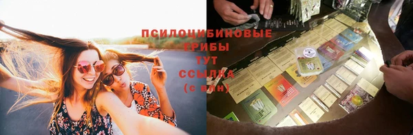 сатива Беломорск