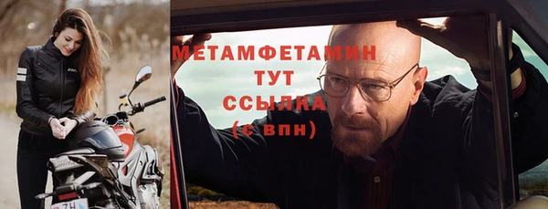 сатива Беломорск