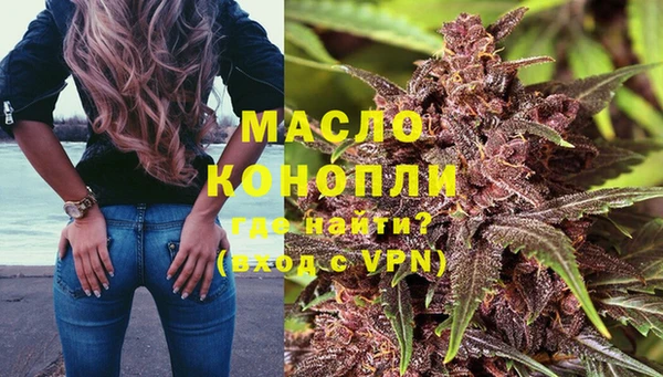 сатива Беломорск