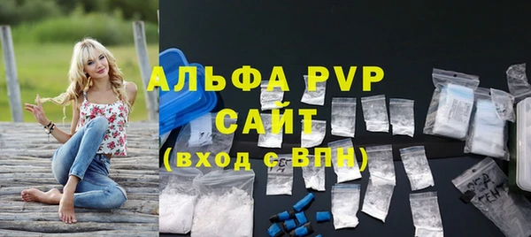 сатива Беломорск