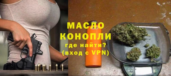сатива Беломорск
