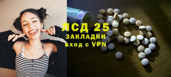 сатива Беломорск